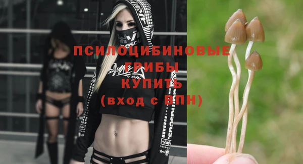 кокаин Белокуриха